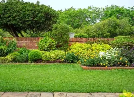 landscaping services Appleton City